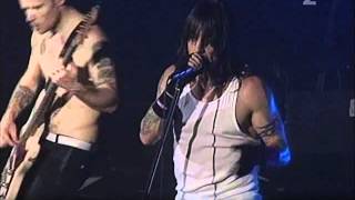 Red Hot Chili Peppers  Dani California Live in Copenhagen [upl. by Babette]