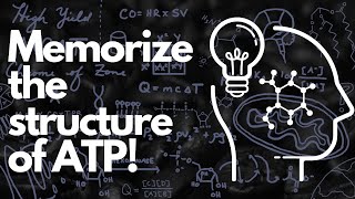 Biochemical Structure of ATP  MCAT [upl. by Niels]