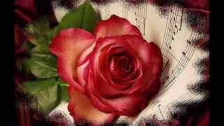 TRUE LOVE  â˜… â™« â™¥ Acker Bilk [upl. by Nnahtebazile]