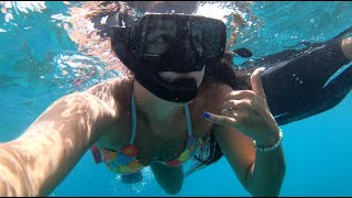 DOMINICAN REPUBLIC SNORKELING 2024  VLOG Fish Stingray Clear Water [upl. by Daniela975]