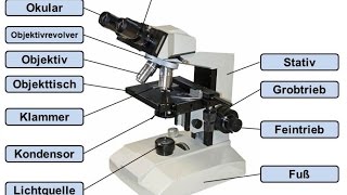 Aufbau Lichtmikroskop  Übung als PDF Download [upl. by Siulesoj]