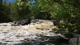 Peshtigo River [upl. by Aivekahs]