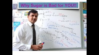 Why Sugar is Bad for You [upl. by Small646]