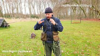 Kontrolle außenliegender Reize im Jagdgebrauchshunde Training [upl. by Barhos]