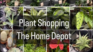 Plant Shopping  The Home Depot [upl. by Travax95]