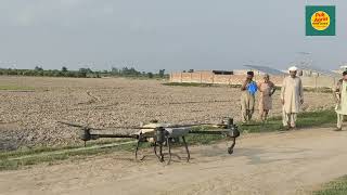 Drone spray in SugarcaneCoragen spray against borers Pak Agrin [upl. by Leirud]