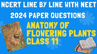 Anatomy of flowering plants New NCERT line by line with previous year questions NEET [upl. by Akiemehs]