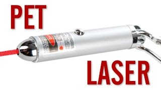 Red 650nm Pet Laser Pointer Review [upl. by Aiym]