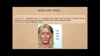 Histology of Maxillary Sinus [upl. by Ankeny]