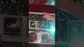 MELODIC TRANCE eurorack idm modularsynth electronic improvisation harp bass misha eventide [upl. by Xila]