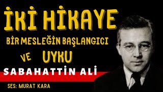 quotUykuquot quotBir Mesleğin Başlangıcıquot Sabahattin Ali Hikayeleri Sesli Kitap [upl. by Yessac]