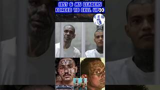 18ST amp MS13 LEADERS FORCED TO CELL UP TOGETHER🤯MOST SECURE PRISON🤔CECOT EL SALVADOR elsalvador [upl. by Langley917]