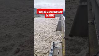 Extremes Hochwasser am 14092024 in Wien heavyrain unwetter viralvideo hochwasser foryou [upl. by Sardella]