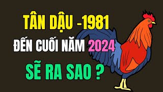 Tử vi tuổi Tân Dậu 1981 Điềm báo tử vi tốt xấu Từ giờ đến cuối năm 2024 [upl. by Haleigh320]