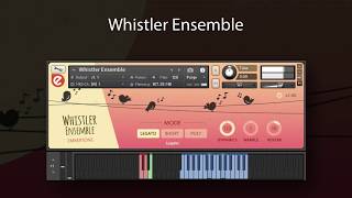 Whistler Ensemble  Walkthrough [upl. by Llirrehs]