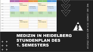 STUNDENPLAN im 1 SEMESTER  Medizin in Heidelberg [upl. by Acirtap]