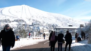 La primera nevada en la sierra de madrid [upl. by Yevoc]