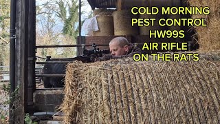 COLD MORNING PEST CONTROL HW99S ON THE RATS [upl. by Rudie]