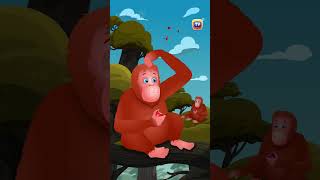 Asian Elephant Song Orangutan Bonobo Shorts ChuChuTV KidsSongs animalshorts endangeredanimals [upl. by Aititel]