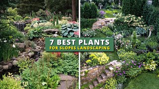 7 Best Plants for Slope Landscaping Areas 👌👍 [upl. by Goldwin]