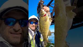 Whats the Best Lure for Giant Fall River Smallmouth Bass [upl. by Pollux]