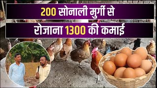 200 मुर्गीयों से रोजाना 1300 की कमाई  Sonali Murgi Palan Business [upl. by Kaazi682]