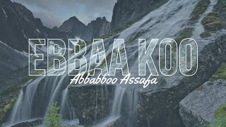 Abbabboo Assafa Ebbaa Koo [upl. by Ania]