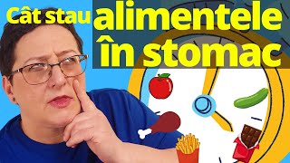 Cât timp stau Alimentele în STOMAC [upl. by Siger]