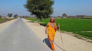 Punjab Village Tour  Pakistan Village Rural Life [upl. by Aniled]