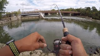 Fishing the Fox River for Smallmouth Bass [upl. by Tommie]