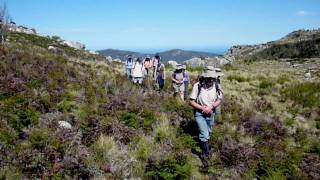 Cape Barren Island Tasmania [upl. by Eidok]