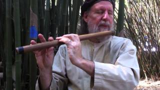 Oriental flute  Inside Erik the Flutemakers bamboo plantation [upl. by Yraeht]