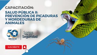 CAPACITACIÓN EN SALUD PÚBLICA II PREVENCIÓN DE PICADURAS Y MORDEDURAS DE ANIMALES [upl. by Mackenzie658]