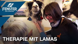 Mit Lamas auf der Demenzabteilung Tanja Burkolter [upl. by Enneite190]