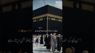 Nabi ny farmya whatsappstatusyoutubeshorts unfrezzmyaccount viralvideo islamcwrites [upl. by Bellaude]