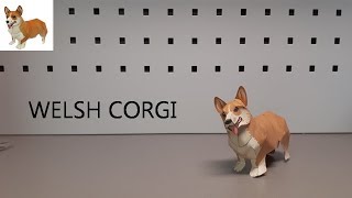 웰시 코기 Welsh corgi 페이퍼 크래프트 Paper Craft 캐논 [upl. by Francklin]