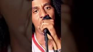 Tego Calderon Goyo  Pa Que Se Lo Gozen Remix [upl. by Hnirt]