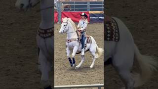 Vaqueras del rodeo del Cow Palace en California Women of Rodeo shorts [upl. by Eskil86]