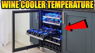 Wine Coolers Explained Choosing the Best Wine Cooler for Perfect Storage [upl. by Gazzo]