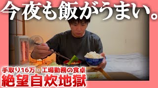 【手取り16万】今夜も飯がうまい。【工場勤務の食卓】 絶望自炊地獄 [upl. by Teerprah404]