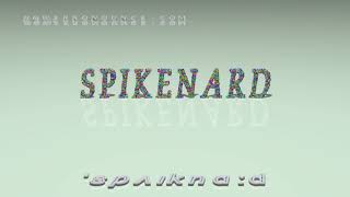 spikenard  pronunciation [upl. by Ennaylil]