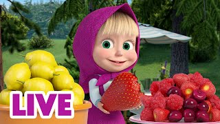 🔴 LIVE STREAM 🎬 Masha and the Bear 🤔 Picky Eaters 😋 [upl. by Ardin]