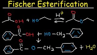 Fischer Esterification Reaction Mechanism  Carboxylic Acid Derivatives [upl. by Assirol647]