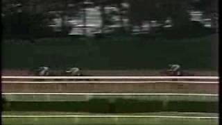 1979 Belmont Stakes Spectacular Bid finishes 3rd [upl. by Aicilyt]