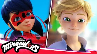 MIRACULOUS  🐞 PERFECTION 🐾  SEASON 5  Tales of Ladybug amp Cat Noir [upl. by Rebeca]