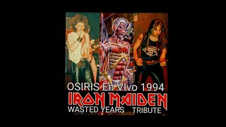 COVER de IRON MAIDEN  WASTED YEARS por OSIRIS HENDRIX bar San Telmo 11121994 [upl. by Aninep24]