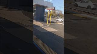 703 rolls into Beenleigh station on a sunny morning on Sunday September 15th after running express [upl. by Maribelle]