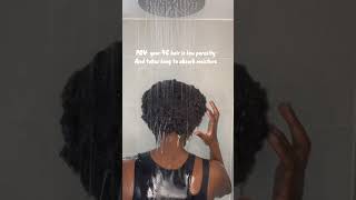 Low porosity 4C hair test takes long to absorb moisture short [upl. by Glasgo822]