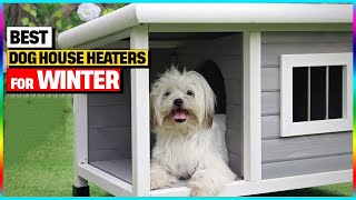 Best Dog House Heaters For Winter 2024  Top 5 Picks [upl. by Shyamal]