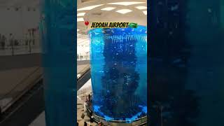 Jeddah Airport Saudi Arabia 🇸🇦🌴🥰 saudarabia travel shortvideo jeddah muslimcountry newvideo [upl. by Annovoj]